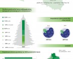 Infografika - Międzynarodowy Dzień Lasów 2023 Foto