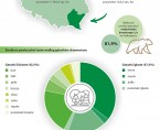 Infografika - Międzynarodowy Dzień Lasów 2024 Foto