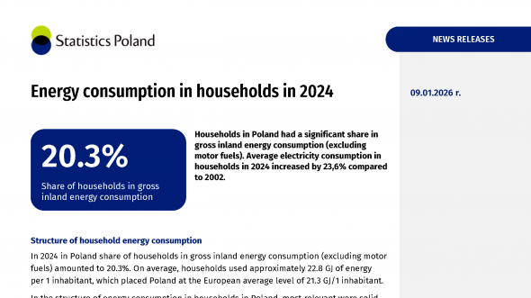 Energy consumption in households in 2024