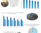 Infografika - Studenci na Podkarpaciu w 2015 r. Foto