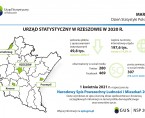Infografika - Dzień Statystyki Polskiej 2021 Foto