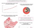 Infografika - Dzień Babci i Dziadka 2016 Foto