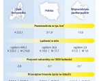 Infografika - Światowy Dzień Statystyki 2025 Foto