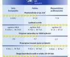 Infografika - Europejski Dzień Statystyki 2024 Foto