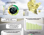 Infografika - Międzynarodowy Dzień Bez Samochodu 2015 Foto