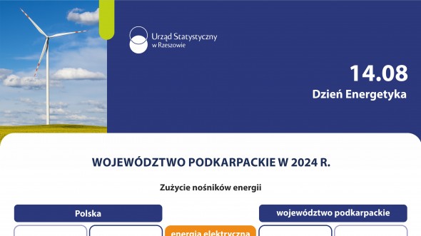 Dzień Energetyka w województwie podkarpackim 2026 - infografika