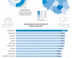 Infografika - Światowy Dzień Donacji i Transplantacji 2025 Foto