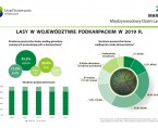 Infografika - Międzynarodowy Dzień Lasów 2021 Foto