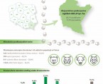 Infografika - Międzynarodowy Dzień Lasów 2025 Foto