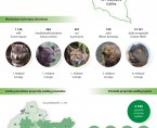 Infografika - Światowy Dzień Środowiska 2023 Foto