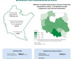 Infografika - Światowy Dzień Środowiska 2026 Foto