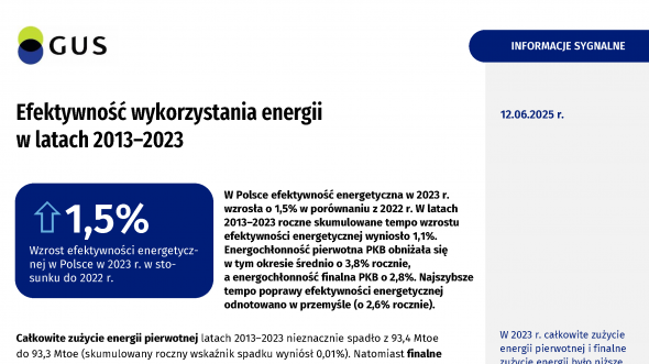 Efektywność wykorzystania energii w latach 2013-2023