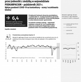 Koniunktura gospodarcza w województwie podkarpackim. Październik 2021 r.