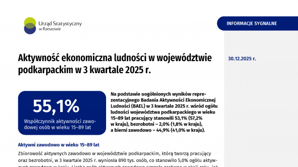 Aktywność ekonomiczna ludności w województwie podkarpackim w 3 kwartale 2025 r.