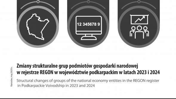 Zmiany strukturalne grup podmiotów gospodarki narodowej w rejestrze Regon w województwie podkarpackim w latach 2023 i 2024